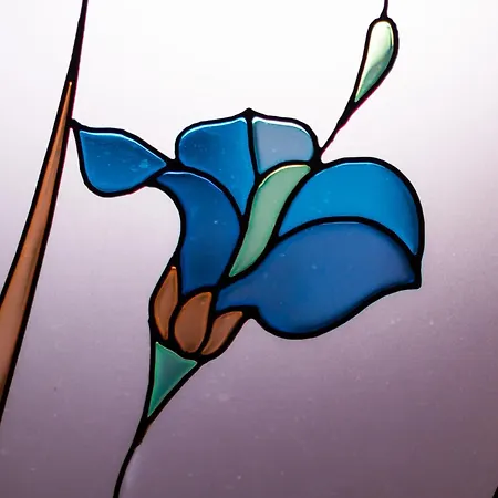 公寓 Palazzo Dei Fiori Liberty 特罗佩阿